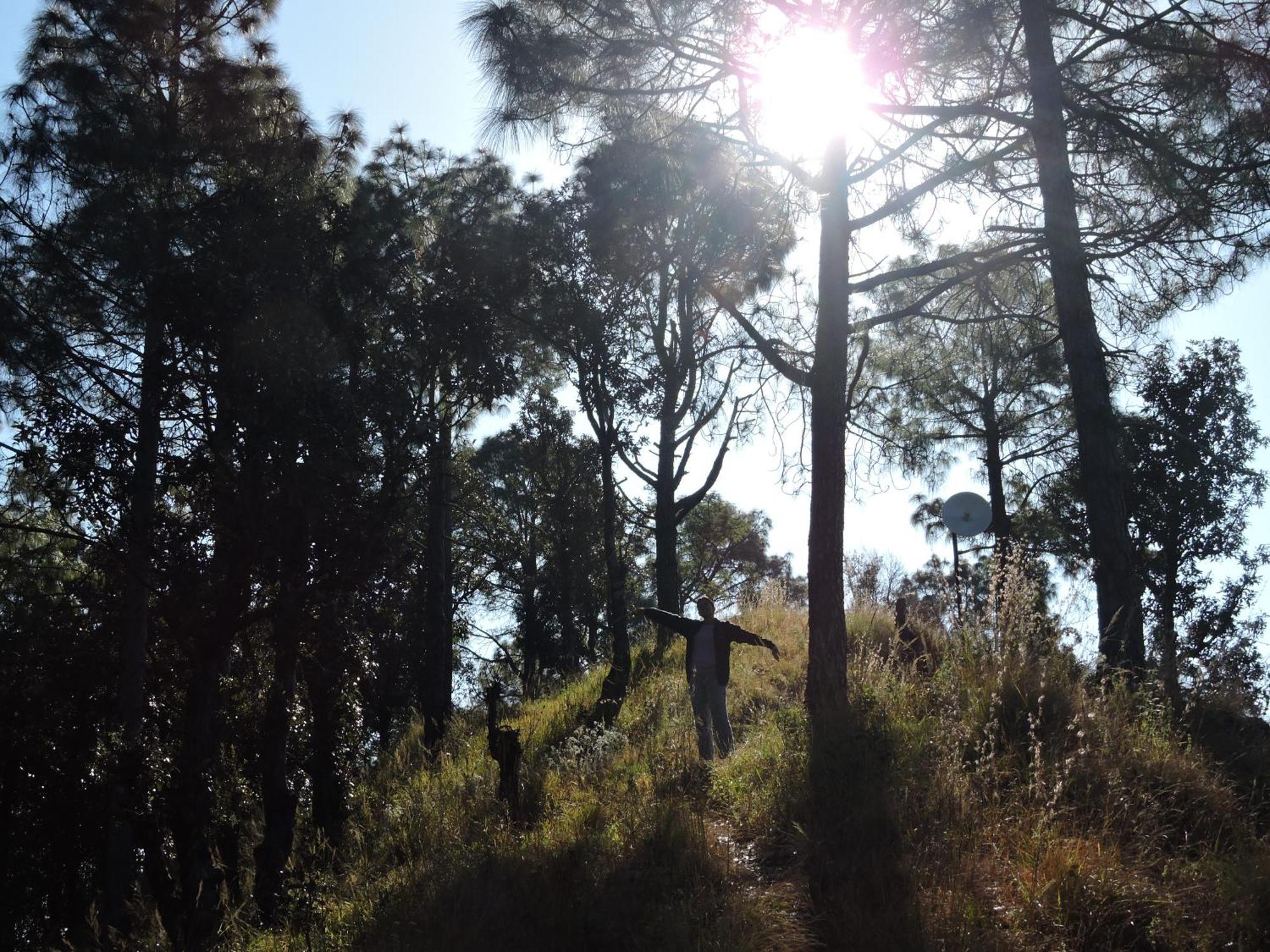 The Manora Woods - Private Hill Top, Gethiya, Nainital Exterior photo
